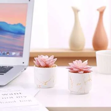 ZENIDA Artificial Plants and Succulents in 2 White Ceramic Pots,Small Fake Plants for Office and Desk Decor,Bathroom, Bedroom,Shelves for Women