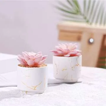 ZENIDA Artificial Plants and Succulents in 2 White Ceramic Pots,Small Fake Plants for Office and Desk Decor,Bathroom, Bedroom,Shelves for Women