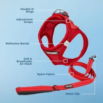 Comfortable All-Weather Dog Harness with Leash Combo