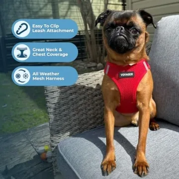Comfortable All-Weather Dog Harness with Leash Combo