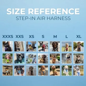 Comfortable All-Weather Dog Harness with Leash Combo