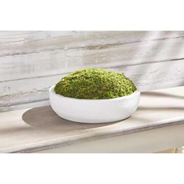 Mud Pie Preserved Moss Paulownia Bowl, Natural, 3" x 15" Dia