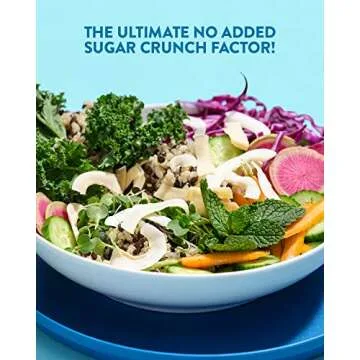 Dang Keto Toasted Coconut Chips | Lightly Salted Unsweetened | 1 Pack | Keto Certified, Vegan, Gluten Free, Paleo Friendly, Non GMO, Healthy Snacks Made with Whole Foods | 3.17 Oz Resealable Bags