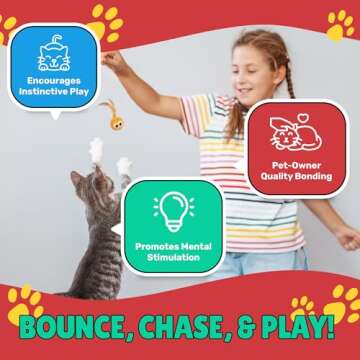 Bouncy Tails 5 Pack Interactive Bouncy Ball with Natural Feathers for Indoor Cats and Kittens who Love to Play and Have Fun.