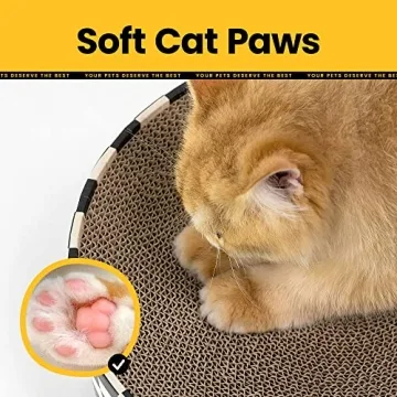 Conlun Cat Scratcher Lounge Bed for Happy Cats