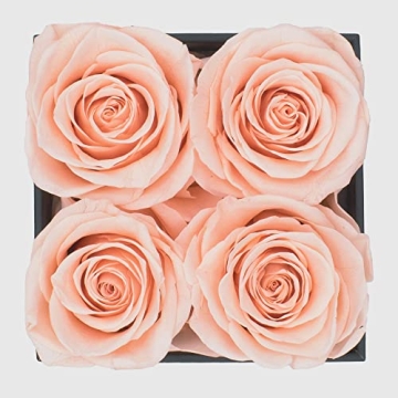 Forever Roses in Black Box | Graceful Fleurs Delivery