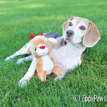 ZippyPaws Christmas Reindeer Dog Toy - Plush Squeaky Holiday Dog Gifts for Small & Medium Puppy Dogs, Interactive Hide & Seek Stocking Stuffers for Pets