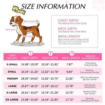 Queenmore Dog Life Jacket Swimming Vest Small Medium Dogs Neoprene Water Boating Life Preserver Lightweight Reflective Cat Puppy Kayaking Lifesaver for French Bulldog,Dachshund,Shih Tzu,Pug(Pink,M)