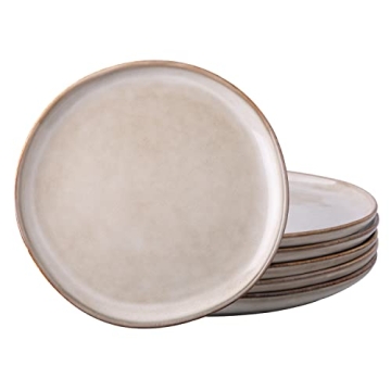 AmorArc 10.5 Inch Ceramic Dinner Plates Set of 6