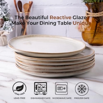 AmorArc 10.5 Inch Ceramic Dinner Plates Set of 6