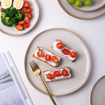 AmorArc 10.5 Inch Ceramic Dinner Plates Set of 6