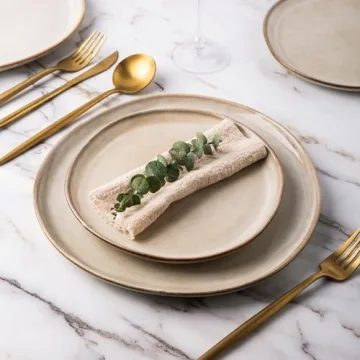 AmorArc 10.5 Inch Ceramic Dinner Plates Set of 6