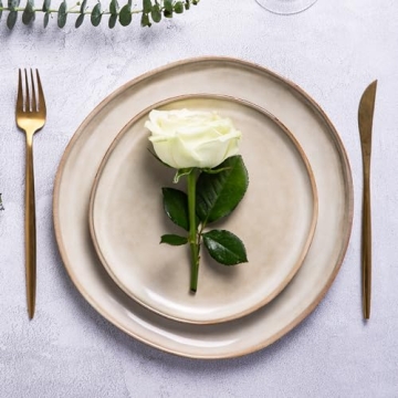 AmorArc 10.5 Inch Ceramic Dinner Plates Set of 6