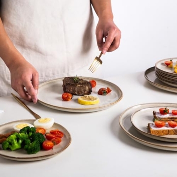 AmorArc 10.5 Inch Ceramic Dinner Plates Set of 6