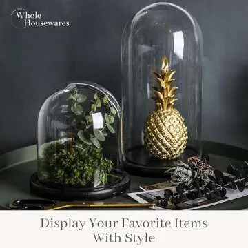 Decorative Clear Glass Dome for Collectibles & Decor