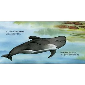 If I Were a Whale - Explore the Ocean Imagination