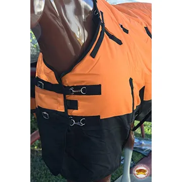 Premium HILASON Winter Waterproof Horse Blanket for Comfort