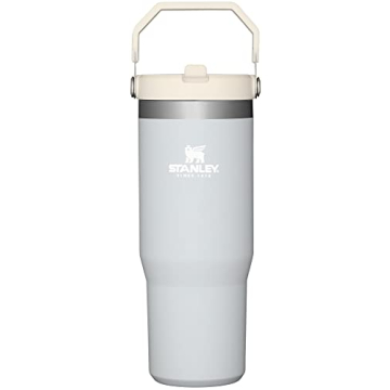 Stanley IceFlow Tumbler - Vacuum Insulated 30oz Cup