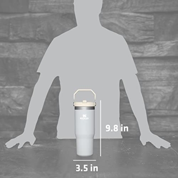 Stanley IceFlow Tumbler - Vacuum Insulated 30oz Cup