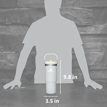 Stanley IceFlow Tumbler - Vacuum Insulated 30oz Cup