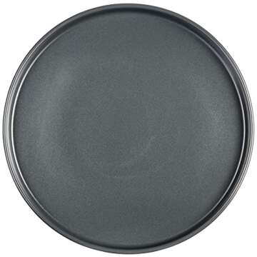 Stone Lain Coupe - Celina Stoneware Round Dinner Plates Set, 4-Piece, Grey Matte