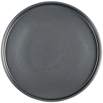 Stone Lain Coupe - Celina Stoneware Round Dinner Plates Set, 4-Piece, Grey Matte