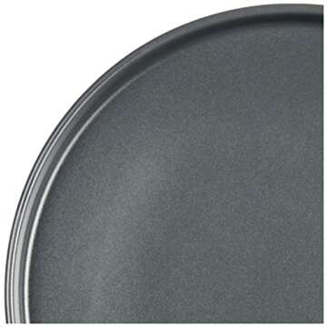 Stone Lain Coupe - Celina Stoneware Round Dinner Plates Set, 4-Piece, Grey Matte