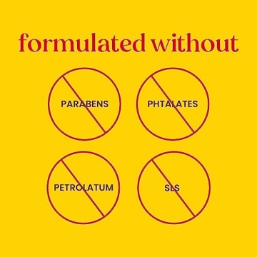 Natural Burt's Bees Lip Balm Gifts for Everyone 2-Pack