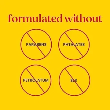 Natural Burt's Bees Lip Balm Gifts for Everyone 2-Pack