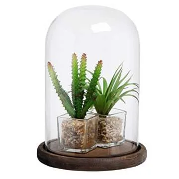 MyGift 10 Inch Decorative Cloche with Rustic Wood Base