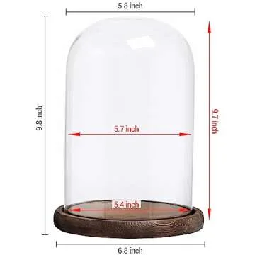 MyGift 10 Inch Decorative Cloche with Rustic Wood Base