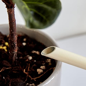 BFA Plant Watering Can - Functional & Stylish Design