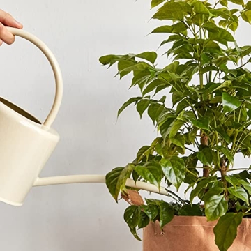 BFA Plant Watering Can - Functional & Stylish Design