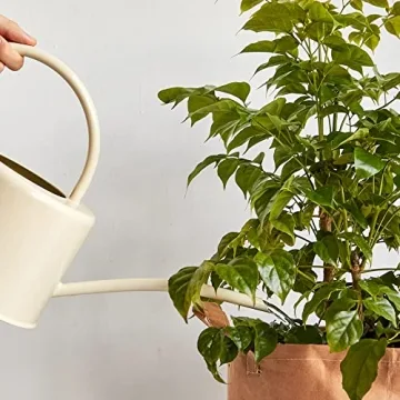 BFA Plant Watering Can - Functional & Stylish Design