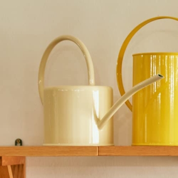 BFA Plant Watering Can - Functional & Stylish Design