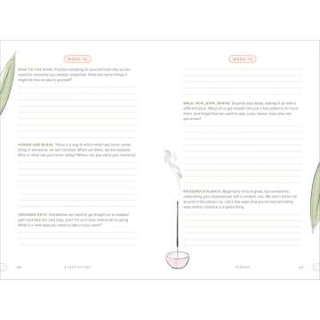 A Year of Zen: A 52-Week Guided Journal (A Year of Reflections Journal)