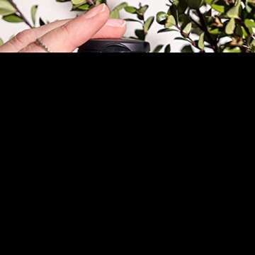 Nature's Sunshine GABA Plus: Natural Brain & Nervous System Support (60 Capsules)