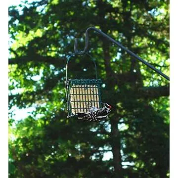 ST. ALBANS BAY SUET PLUS High Energy Suet Cakes, 20 Pack of 11 oz. Suet Cakes for Wild Birds