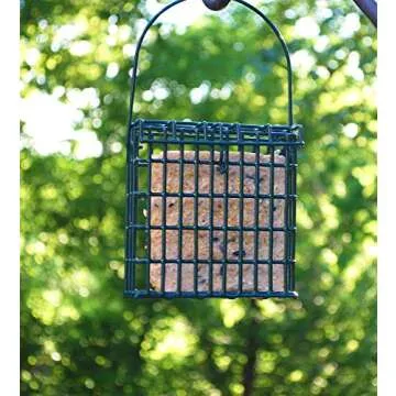 ST. ALBANS BAY SUET PLUS High Energy Suet Cakes, 20 Pack of 11 oz. Suet Cakes for Wild Birds