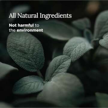 Magnificent 101 Candle: Natural Sage for Wellbeing