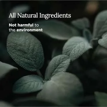 Magnificent 101 Candle: Natural Sage for Wellbeing