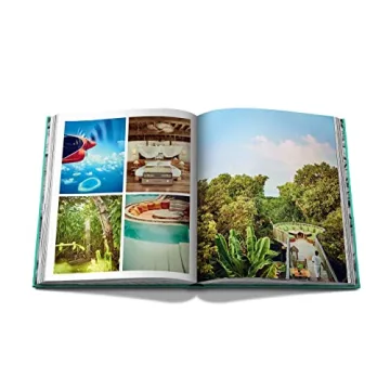 Chic Stays Assouline Coffee Table Book for Travelers