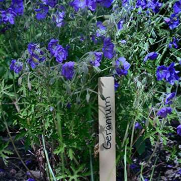 Henry Bukke's Best Birch Paint Sticks, 100 Bulk Pack, 12 Inch – Clean & Smooth for Automotive, Industrial, Beauty, Art & Craft Projects, Made in USA