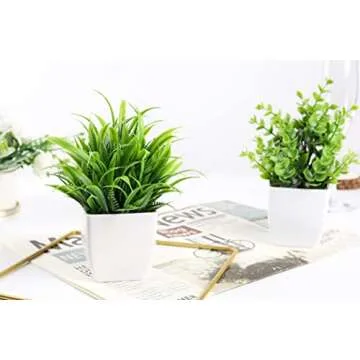 Der Rose Small Fake Plants - Perfect Office & Home Decor
