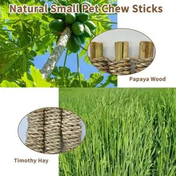 Fhiny 12 PCS Natural Chew Sticks for Rabbits, Guinea Pigs and More for Dental Care