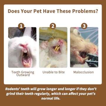 Fhiny Rabbit Chew Sticks - Natural Snacks for Small Pets