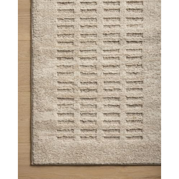 Loloi Amber Lewis Monty Area Rug - Modern & Versatile Decor