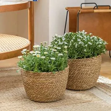 La Jolíe Muse Seagrass Planter Baskets - Eco-Friendly Style