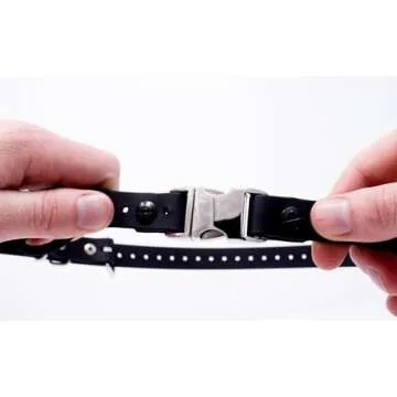 Durable Waterproof Bungee Dog Collar for Large Breeds