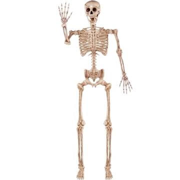 JOYIN 5.6 FT Halloween Life Size Skeleton with Movable Joints